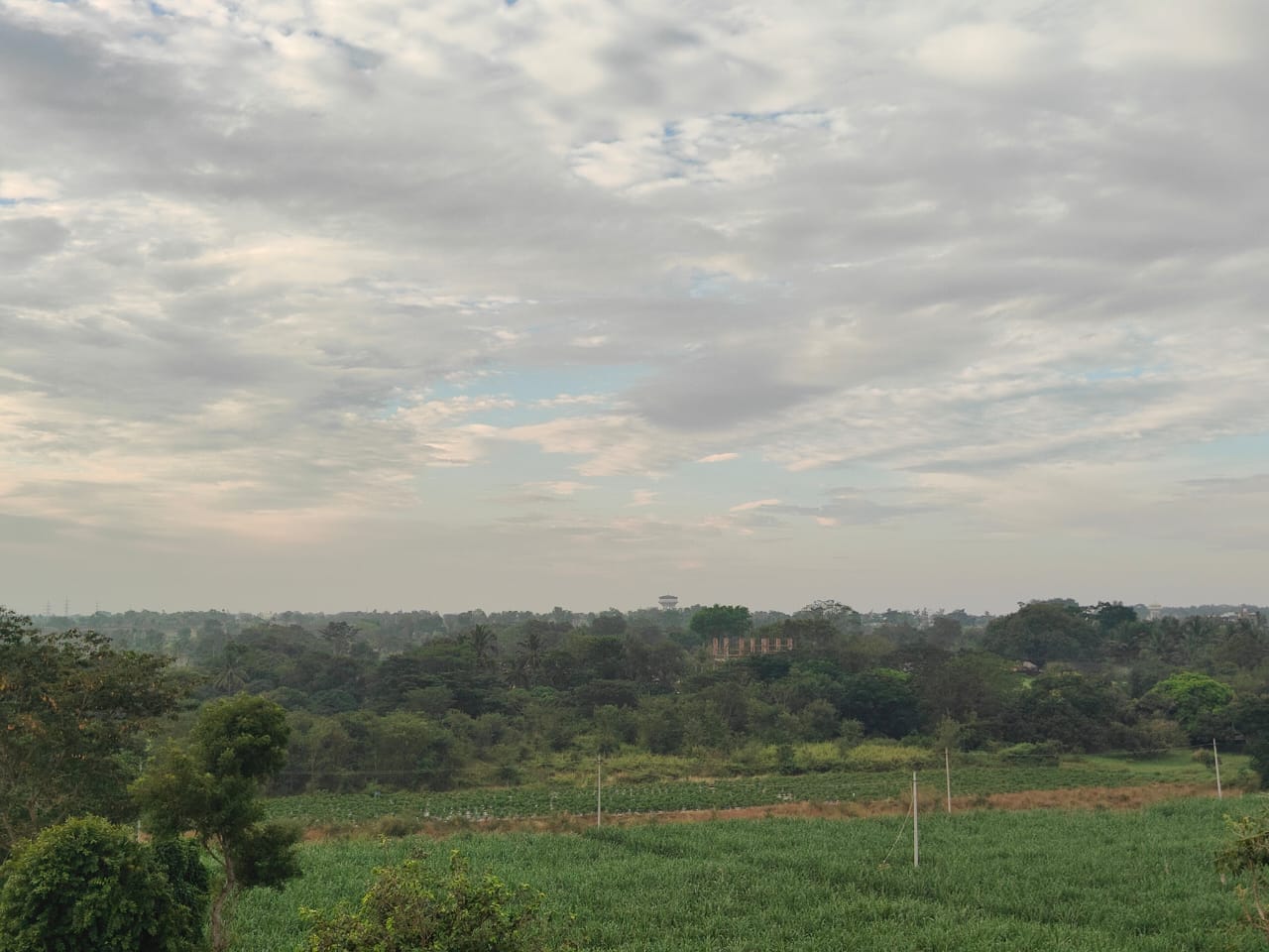 Beautiful Nature Views